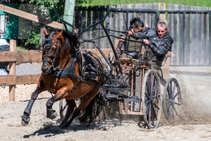 Ritterspiele 230812-155225 6898 ©ChristianWalderFotografie-ps