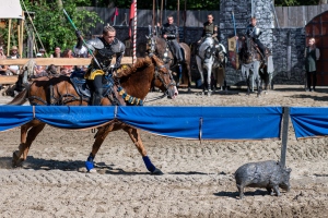 Ritterspiele 230812-162021 7138 ©ChristianWalderFotografie