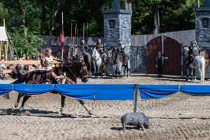 Ritterspiele 230812-162140 7158 ©ChristianWalderFotografie