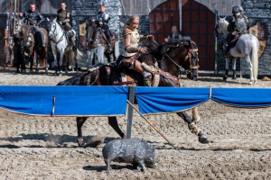 Ritterspiele 230812-162141 7161 ©ChristianWalderFotografie