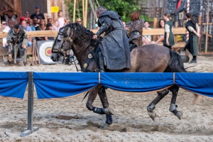 Ritterspiele 230812-163319 7215 ©ChristianWalderFotografie