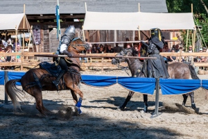 Ritterspiele 230812-171457 7348 ©ChristianWalderFotografie